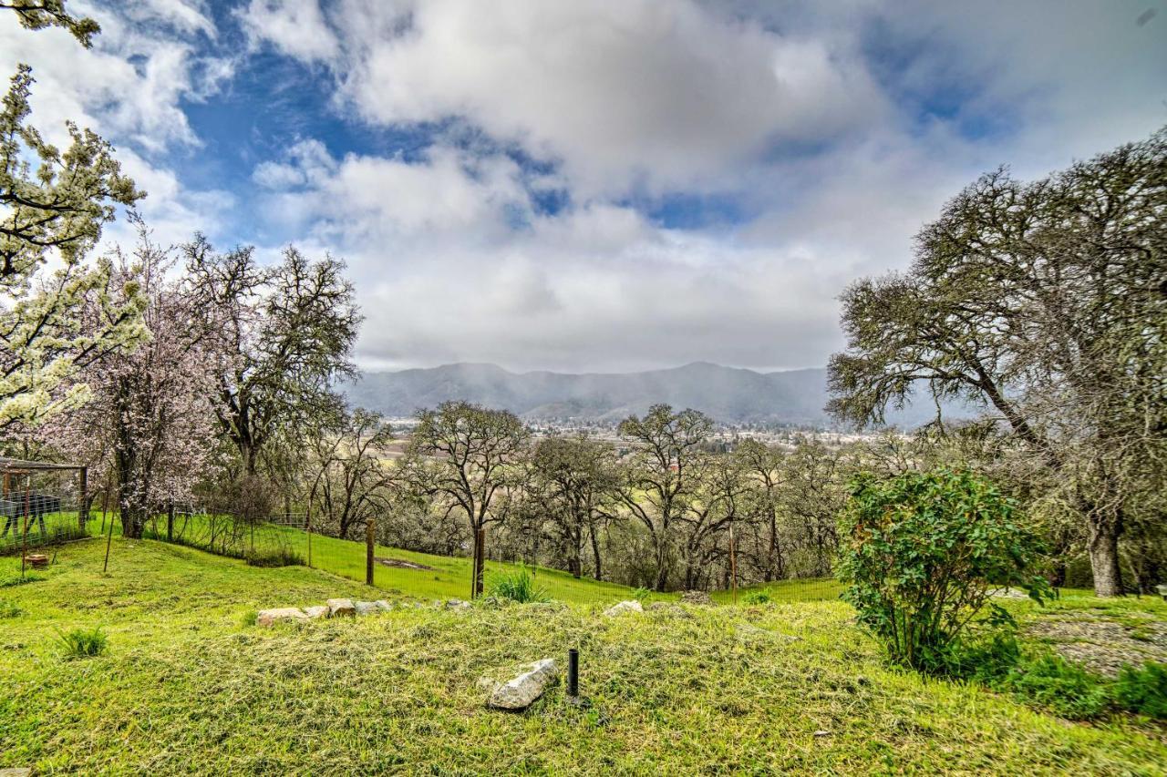Hilltop Loft Ukiah Vacation Rental! Exteriör bild