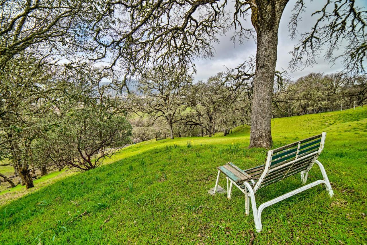 Hilltop Loft Ukiah Vacation Rental! Exteriör bild