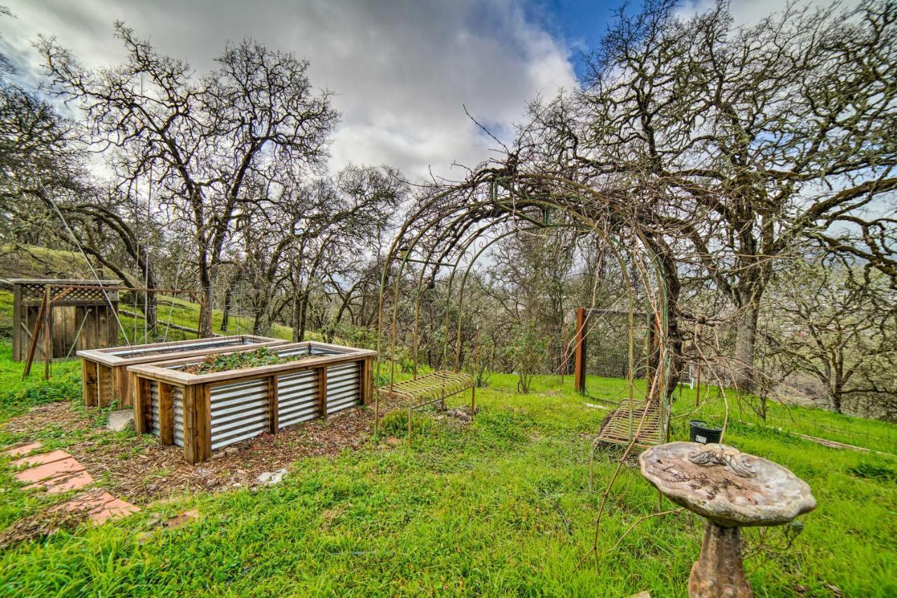 Hilltop Loft Ukiah Vacation Rental! Exteriör bild